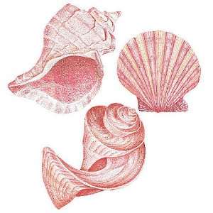  Wallies 12019 Sea Shells Wallpaper Cutout