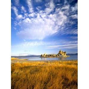  Altocumulus Clouds above Rushes and Tufa on Shore of Mono 