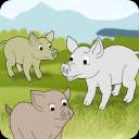   three little pigs