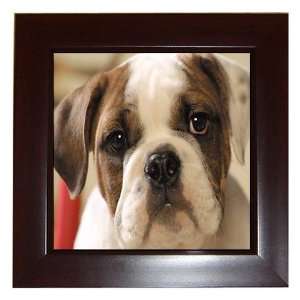 American Bulldog Puppy Dog Framed Tile G0009