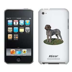  Wirehair Pointer Griff on iPod Touch 4G XGear Shell Case 