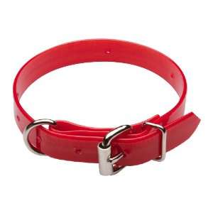   Lite Day Glo Collar in Red, D Ring in Front, 3/4 x 20
