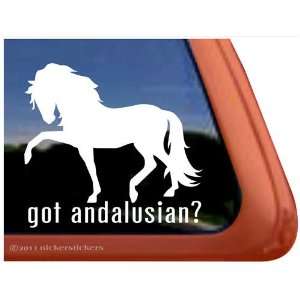  Got Andalusian? Horse Trailer Vinyl Window Decal Sticker 