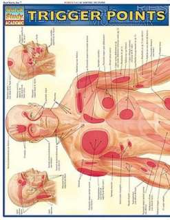   Trigger Points Understanding Myofascial Pain and 