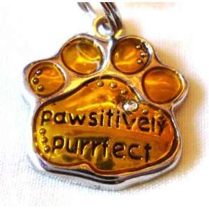  Ganz Pawsitively Purrfect Pet Tag