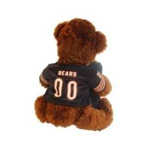   Northwest Co 1NFL 03700 0001WMT Chicago Bear Hugger