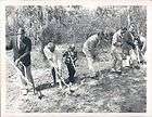 1975 Florida Pasco Hernando Community College Ground Breaking Shovels 