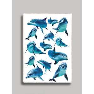  Dolphin Collage Refrigerator Magnet