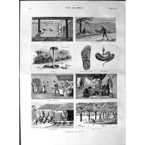  1887 Snakes India Cobra Indian Crow Police Sepoy Print 
