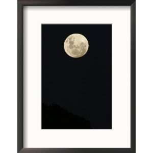  A Full Moon Glows over Dark Treetops Framed Photographic 