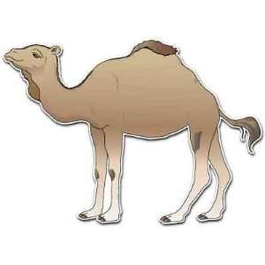 Arabian Desert Camel Car Bumper Sticker Decal 5x3.5
