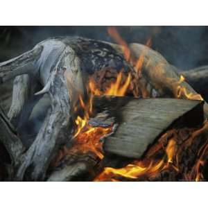  Driftwood Campfire, Clayoquot Sound, Vancouver Island Photographers 