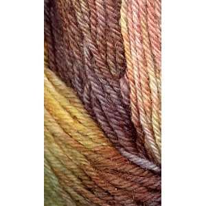  Araucania Ranco Multi 306 Yarn
