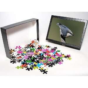   Jigsaw Puzzle of Pygmy Nuthatch from Ardea Wildlife Pets Toys & Games