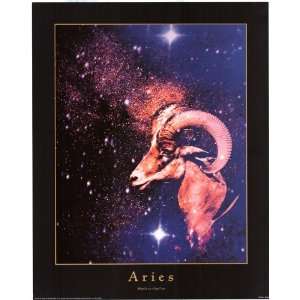  Horoscope Sign Aries (2008)   Photography Poster   16 x 20 