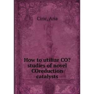  How to utilize CO? studies of novel COreduction catalysts 