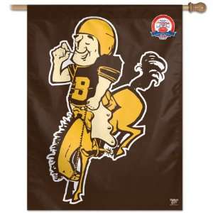  Denver Broncos AFL Vertical Flag 27x37 Banner Sports 
