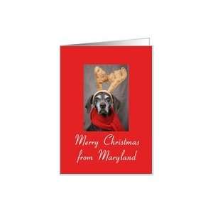  Maryland reindeer pointer christmas greeting Card Health 
