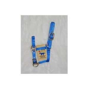    Equine Tack & Other EquipmentHALTERS & LEADS NYLON)