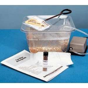 Brine Shrimp Hatchery Kit Refill  Industrial & Scientific