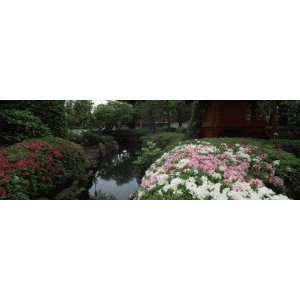  Flowers Along a Stream, Senso Ji Temple, Asakusa, Taito 