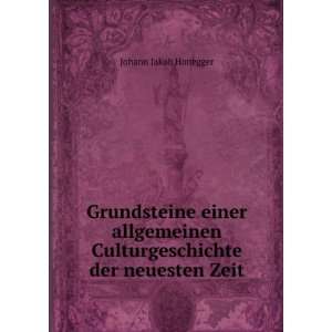   Culturgeschichte der neuesten Zeit Johann Jakob Honegger Books
