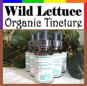   Lettuce (Lactuca Virosa) Tincture Extract Insomnia Anxiety PMS  
