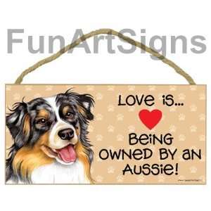  Australian Shepherd (Aussie)   Love Is Being Owned By An Aussie 