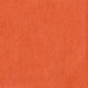  43 Wide Toscana Velveteen Rustica Fabric By The Yard 