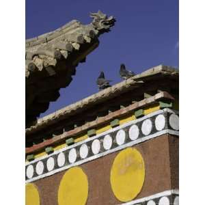  Pigeons on Roof of Buddhist Monastery, with Carved Dragon 