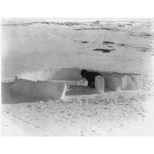  Eskimo building an igloo; completing the first layer of 