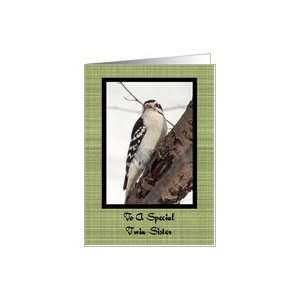  Twin Sister Downy Woodpecker Christmas Card Card Health 