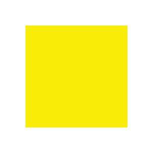  Rosco E Color 010 Medium Yellow Gel Filter Sheet 