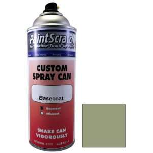   Touch Up Paint for 2005 Nissan Titan (color code D13) and Clearcoat