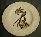   MEAKIN PLATE #168 FORK TAILED FYLCATCHER ENGLAND BIRDS OF AMERICA BZ