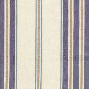  Maxwell Stripe in Blue by New Arrivals Inc Baby