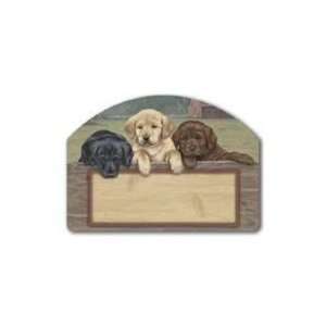 Mailwraps On The Fence Magnetic Face (Puppy Labs) Sports 