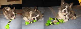 Indestructible Rope Tug Dog Toy with Scruffy