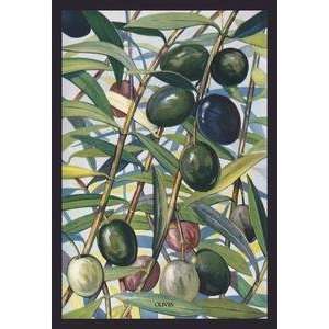  Vintage Art Olives   08342 5