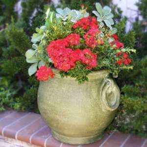  Tecate Clay Pottery Ring Planter   Jade Patio, Lawn 