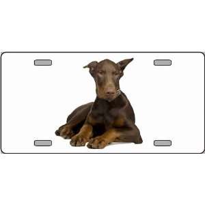  Doberman Pinscher Dog Pet Novelty License Plate 
