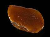 about amber amber as it has been attracting attention of people from 