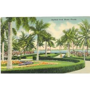  1950s Vintage Postcard   Bayfront Park   Miami Florida 