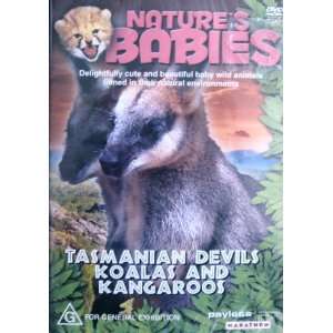   Babies Tasmanian Devils   Koalas   Kangaroos   DVD 