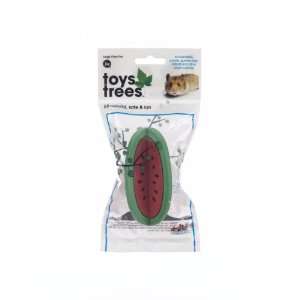  JW Pet Company Toys from Trees Watermelon Small Animal Toy 