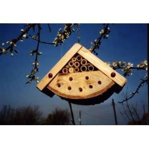  Bug Box (This is one theyll use)   Perfect for Gardens 