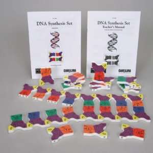  DNA Synthesis Set Industrial & Scientific