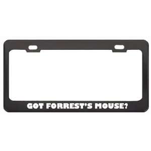 Got ForrestS Mouse? Animals Pets Black Metal License Plate Frame 