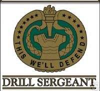 US ARMY DRILL SERGEANT DI CAR WINDOW PATCH DECAL  