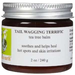   Canine Earth Tail Wagging Terrific Tea Tree Balm   2 oz